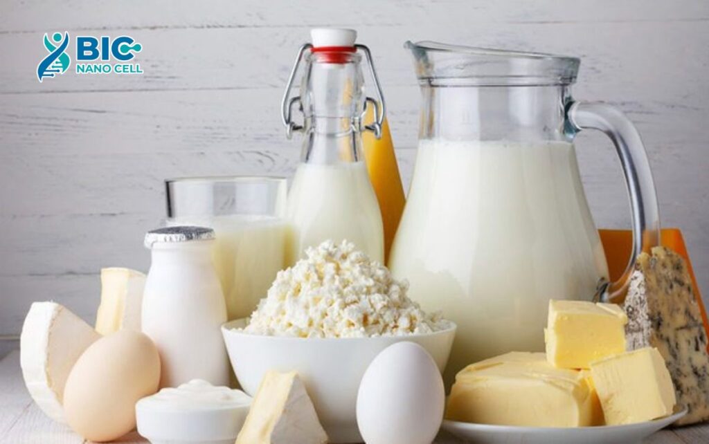 Lão hóa xương nên ăn sữa và các sản phẩm từ sữa Bic Nano Cell 