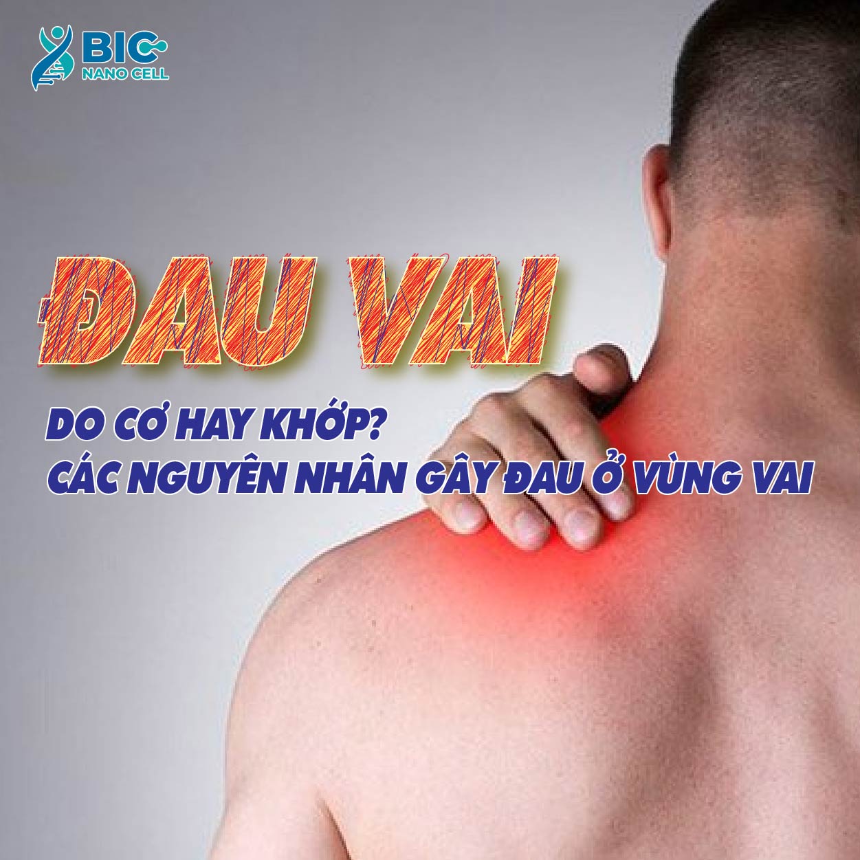 ĐAU VAI: DO CƠ HAY KHỚP? CÁC NGUYÊN NHÂN GÂY ĐAU Ở VÙNG VAI - Phòng ...