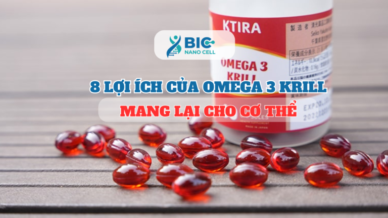 8 Lợi ích của Omega 3 Krill mang lại cho cơ thể