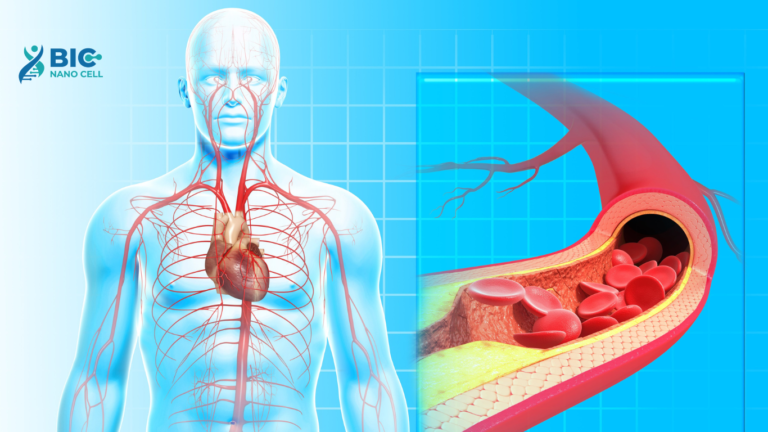 Kiểm soát mỡ máu tại nhà Bic Nano Cell