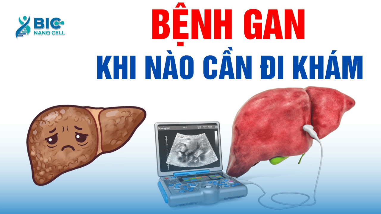 Bệnh gan là gì? BIC NANO CELL